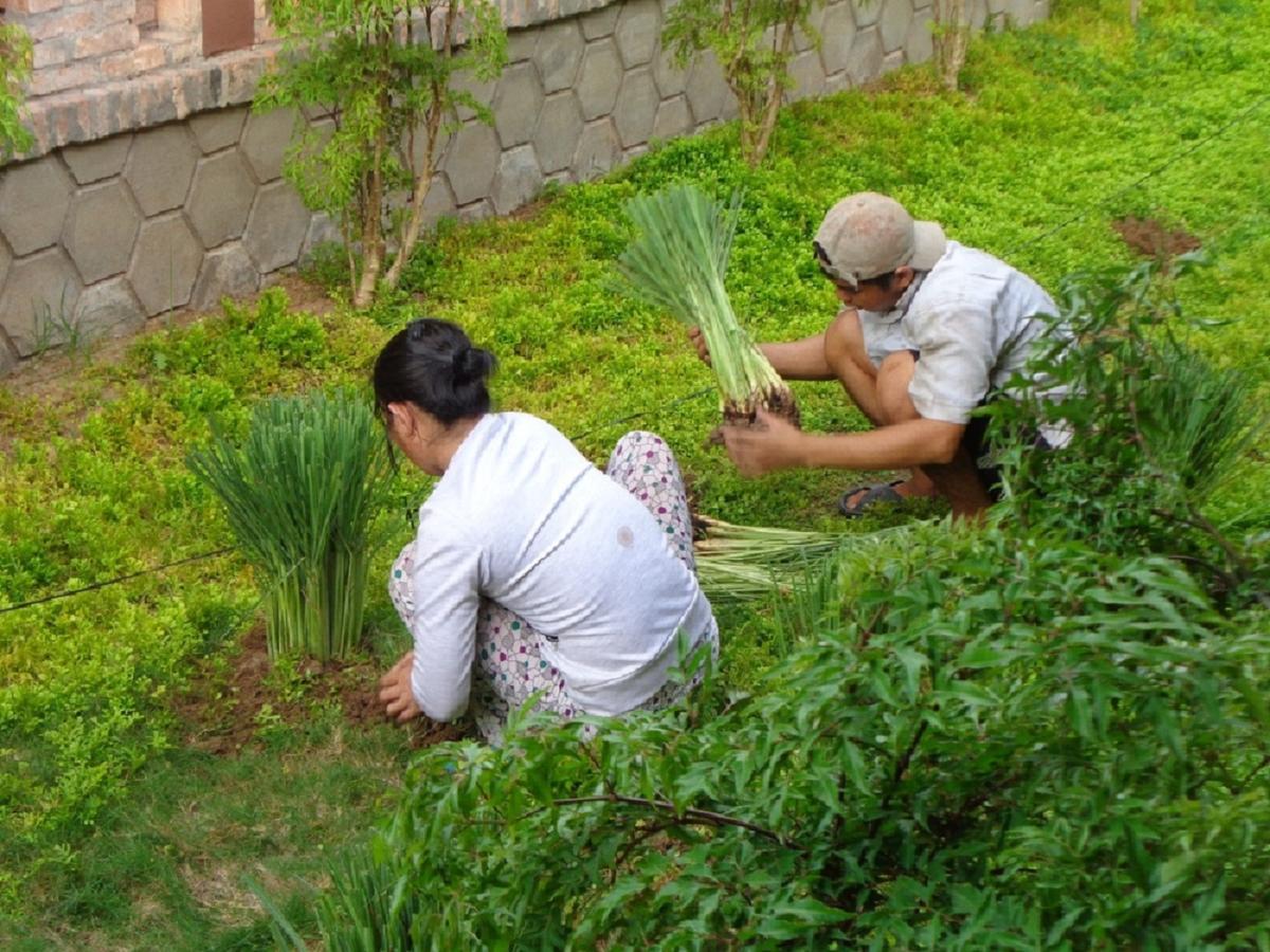 Gite Nam Hien Mekong Cho Lach Exterior foto